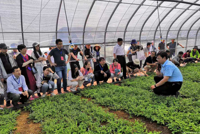 张骅向北京林业大学来访的师生介绍大棚种植技术和经验
