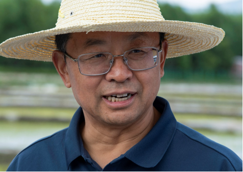 张福锁:小院大作为 张福锁:小院大作为