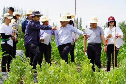 张福锁:小院大作为 张福锁:小院大作为