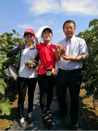 张福锁:小院大作为 张福锁:小院大作为