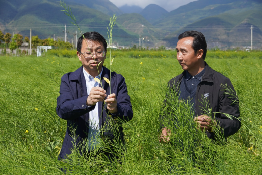 张福锁:小院大作为 张福锁:小院大作为