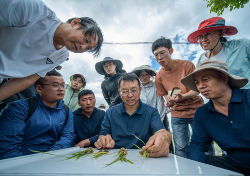 张福锁:小院大作为 张福锁:小院大作为
